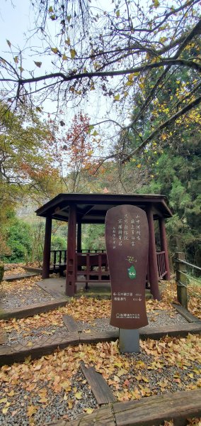 2023-01-01杉林溪青龍蕨類步道(青龍瀑布)、松瀧岩瀑布及天地眼步道1978848