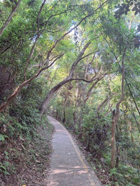 田中森林登山步道＋茶香步道＋赤水崎公園步道202508172862066