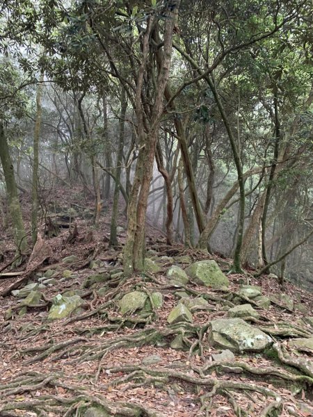 鳶嘴山（台中市和平區）2509668