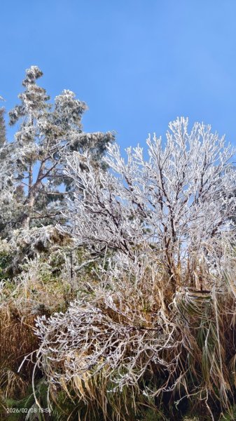 #霧淞 #雲海 #雲瀑 #霧虹 #太平山 #望洋山 #觀雲步道 #翠峰道路  2/82995364