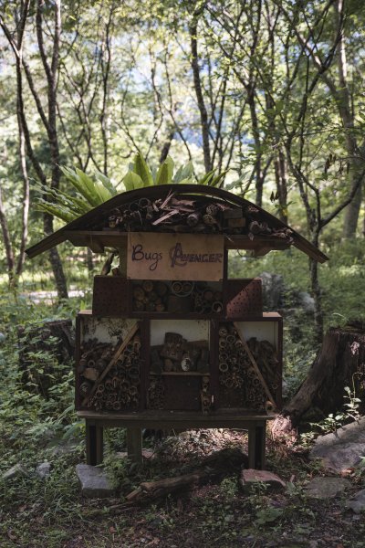 八仙山-夏日避暑好所在631681