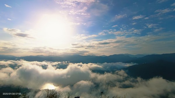 除夕寒流來襲的翡翠水庫雲海&天元宮寒櫻1/282700711