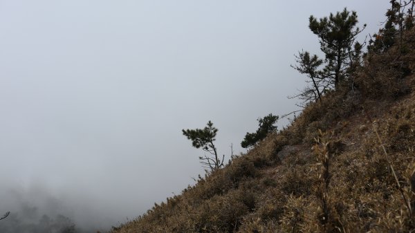 郡大山登山健行趣(百岳54號)2018846