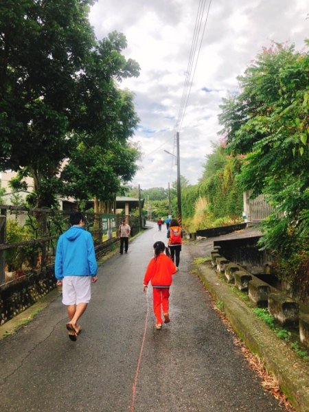 桃源里森林步道430600