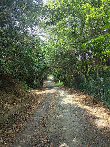 2025.08.30－微笑山線：【大棟山系】2874469