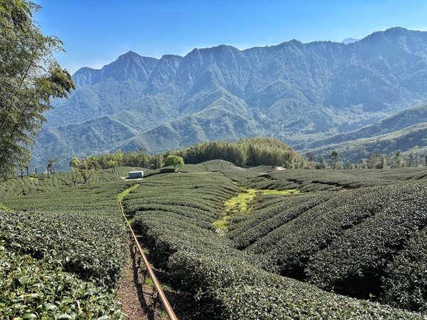 溪頭六連峰O繞2741771