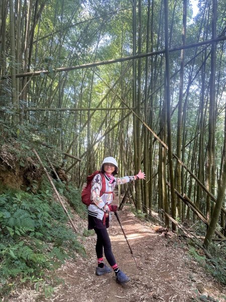 嘉南雲峰、九穹神木3014470