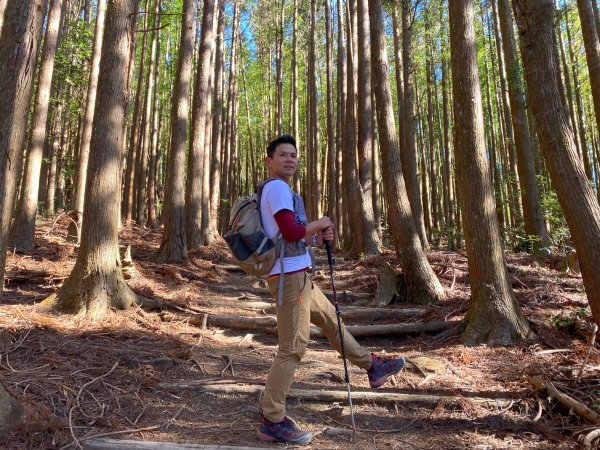 長壽山-醜崠山-鳶嘴山【既優雅又狂野的另類選擇】2673992