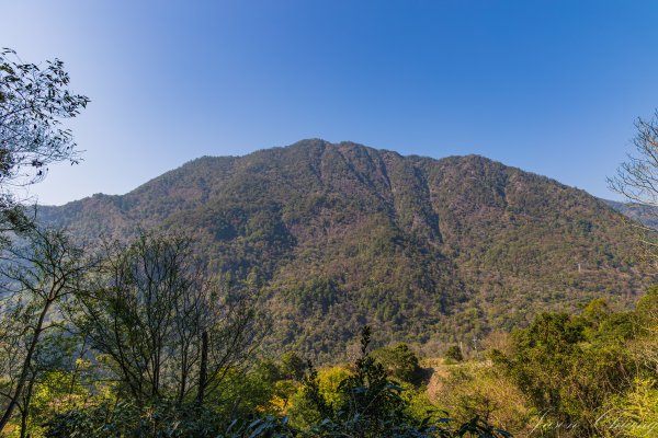 谷關七雄_唐麻丹山3015649