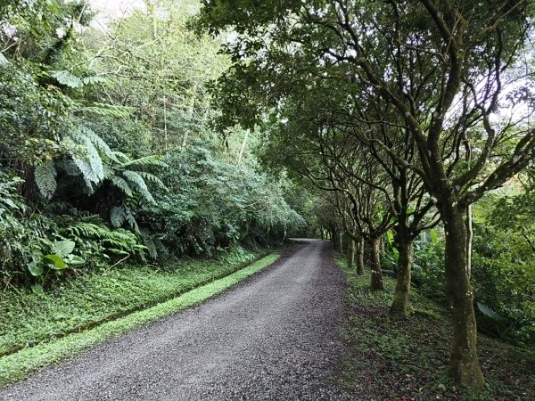 2025_0920 東滿步道2892707