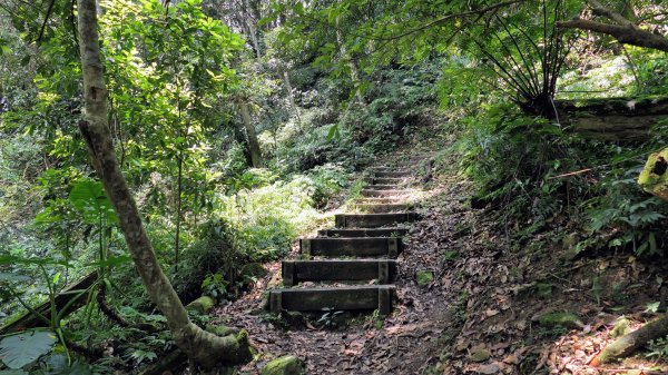 福山部落,內洞森遊區2552438