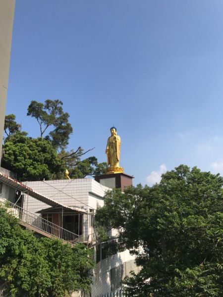 大坑登山步道是練腳力的好地方342212