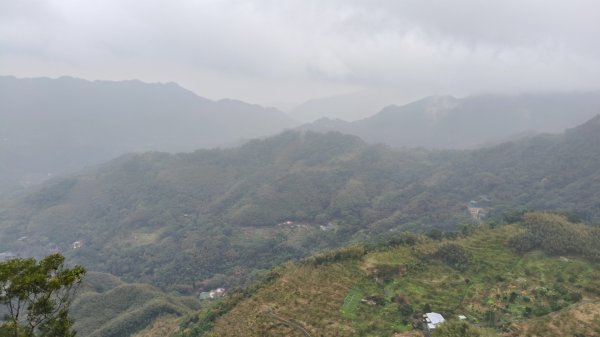 金牌縱走202502082709495