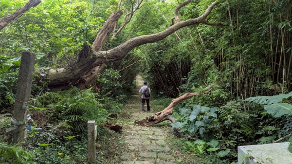 114.06.01溪山百年古圳-太平尾山+聖人崙之旅2801852