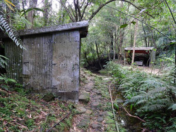 孝子山步道連走東勢格越嶺古道197033