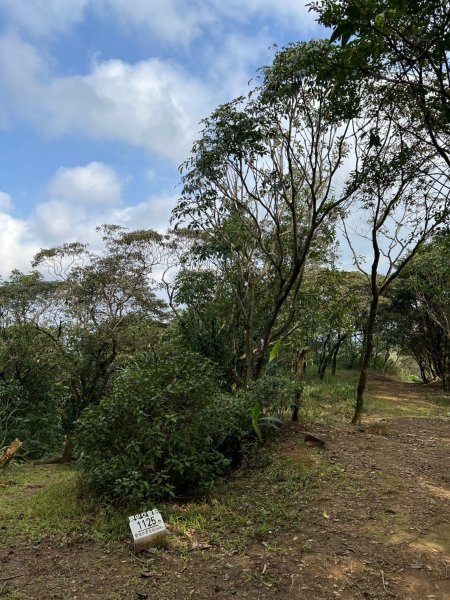 2025-01232淡蘭古道北二段(燦光寮古道到澳底)2696698