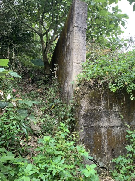20250127屏東坪埔厝山-草山-南湖呂山西峰-南湖呂山2705102