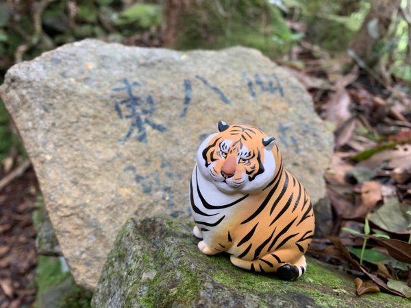 20200822台中和平東八仙山、至八仙山2544038