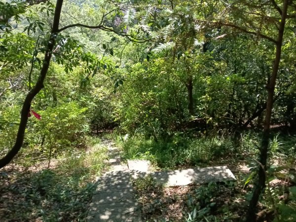 基隆市金交椅山+金交椅南峰+紅淡山東北峰、北北峰、北峰+紅淡山+厲翼嶺出三坑車站2903195