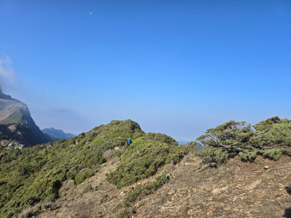 終於看到1000元背面的山景登頂玉山北峰／前峰2495883