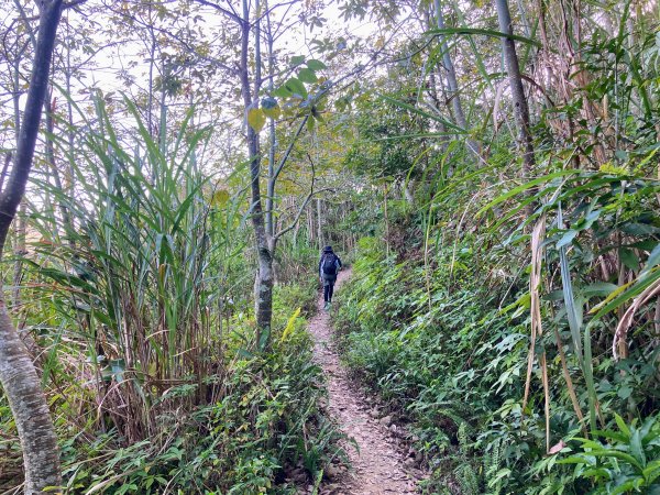 九份二山登山步道2688042