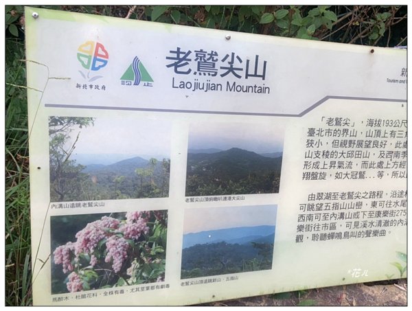 金龍湖、鷹石尖、老鷲尖、內溝山 O型一圈2966628