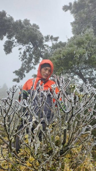 20250319～20嘉明湖國家步道🥶🥶🥶殘念😭2739742