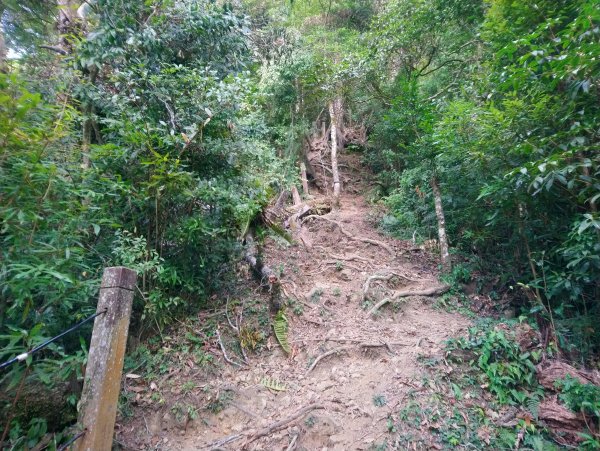 石壁山 好望角 嘉南雲峰 O型 南側進813371