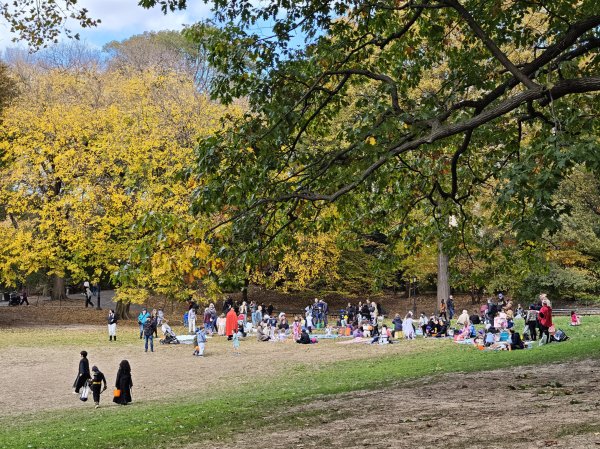 [紐約馬之行-11] 2025_1101 中央公園-畢士大露臺2945111