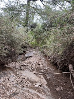 20250524 畢祿山單攻2796489