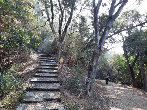 《彰化》田中森林登山步道O型202011221179694