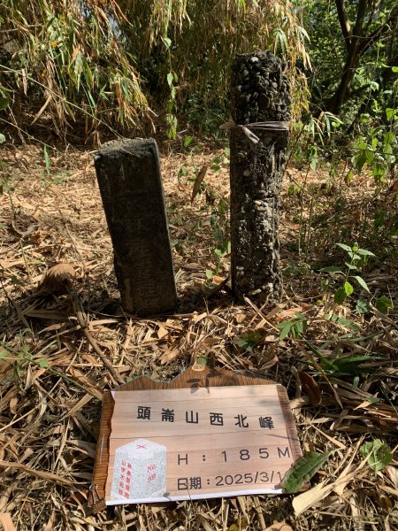 20250315屏東頭崙山-頭崙山西北峰2737221