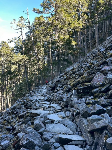 帶著77歲爸爸爬百岳~雪山西稜_12/07~12/12，2025唯一一爬。2961067