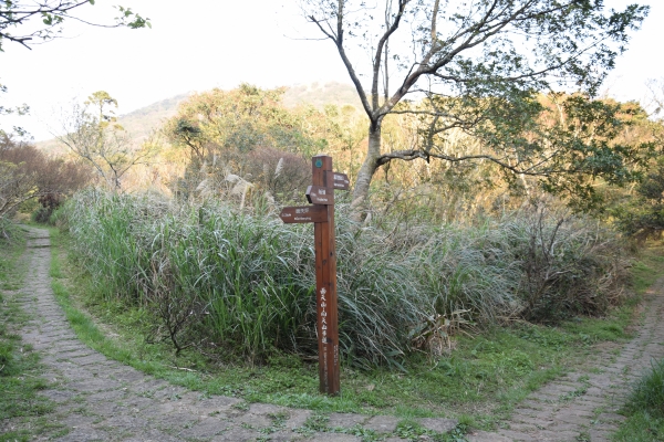 大屯火山群十連峰 陽明山大縱走 40669