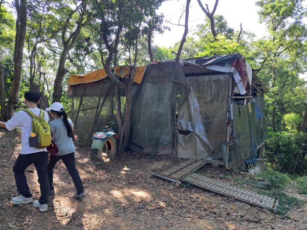 桃園羊稠森林，虎頭山，福山巖，石門山步道3128071