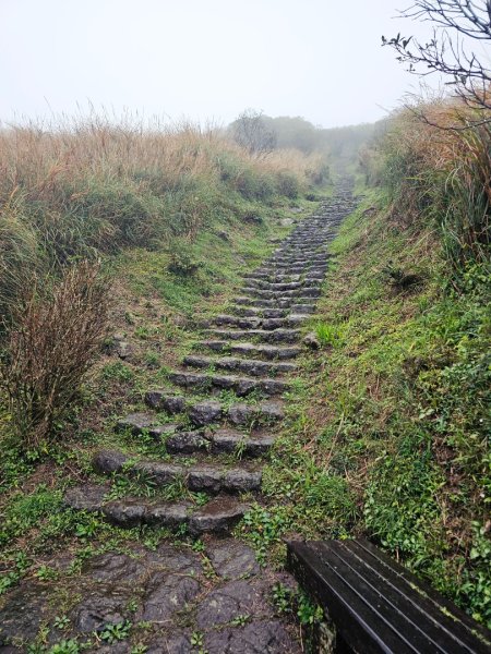 2025臺北大縱走第二段：二子坪至小油坑2973507