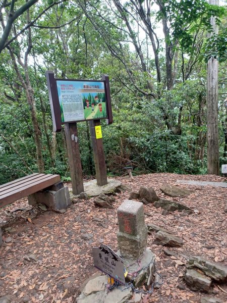 【桃園復興】台灣百大必訪步道。 東眼山森林遊樂區-東眼山自導式步道2835935