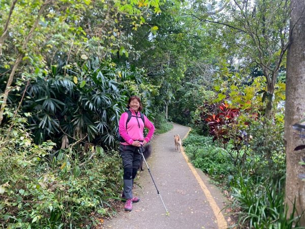 田中森林公園步道、赤水崎公園步道、花牆、龍過脈古蹟2750920