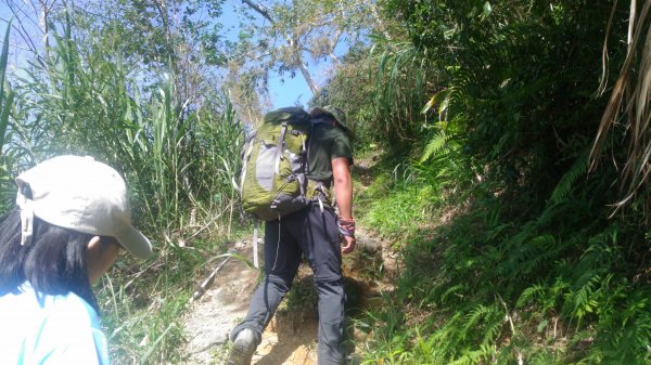 大禮大同步道1321054