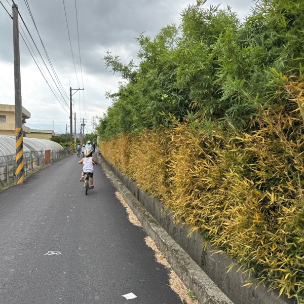 霄裡好風光運動樂悠遊2829062