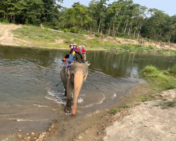 尼泊爾奇旺國家公園4天三夜2788888