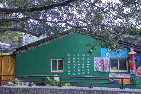 暖東峽谷/草嶺舊隧道2816513