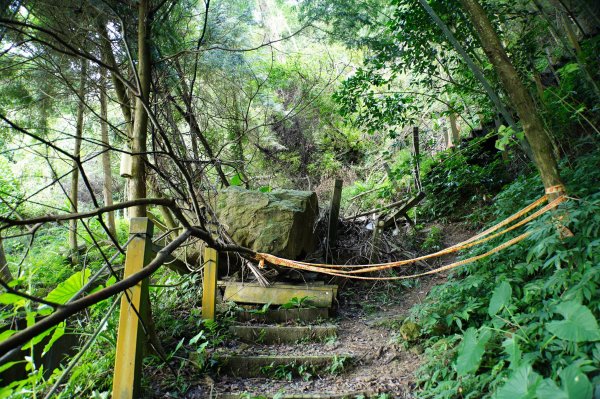 台中 和平 埋伏坪山2924971