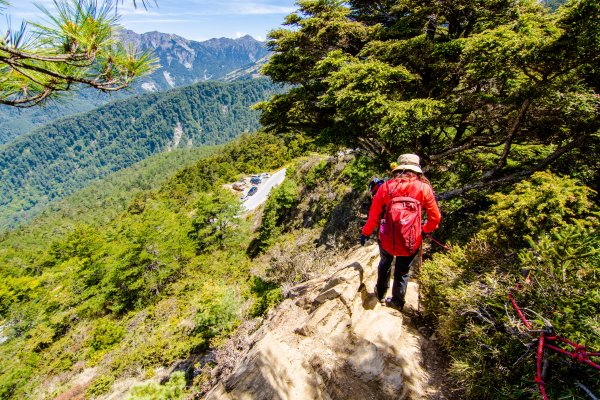 合歡山北峰賞高山杜鵑(2021/04/30)1370880