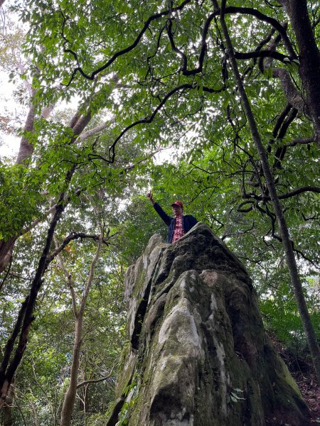 迷霧森林的羅山林道北線、油羅山 H1764m (巧遇野孩子小樂)1531429