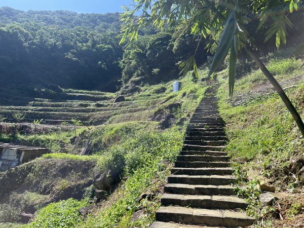 [走遍陽明山]2023_0910_大崎頭步道2279435