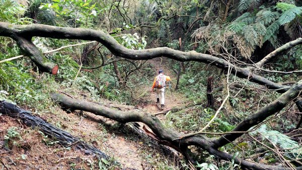 基隆八上七下縱走2785123