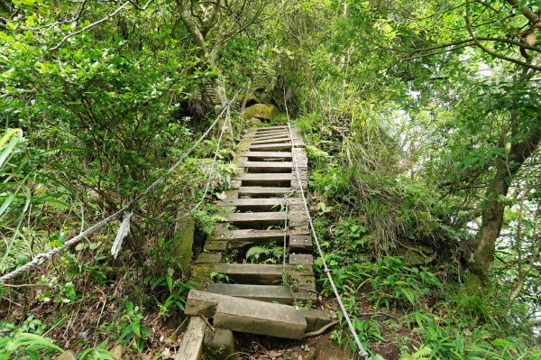 新北 新店 獅仔頭山、粽串尖、大丘田山2804287