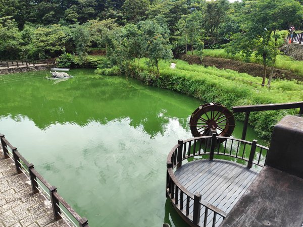 臺北大縱走第七段：世界山莊至飛龍步道政大後山2811695