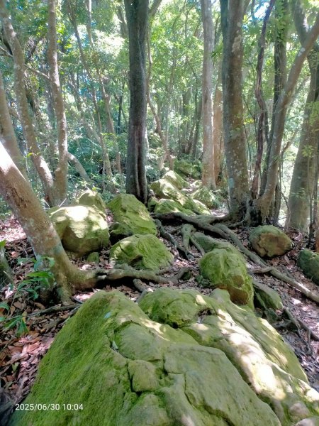 白石湖+打鐵寮古道2824159